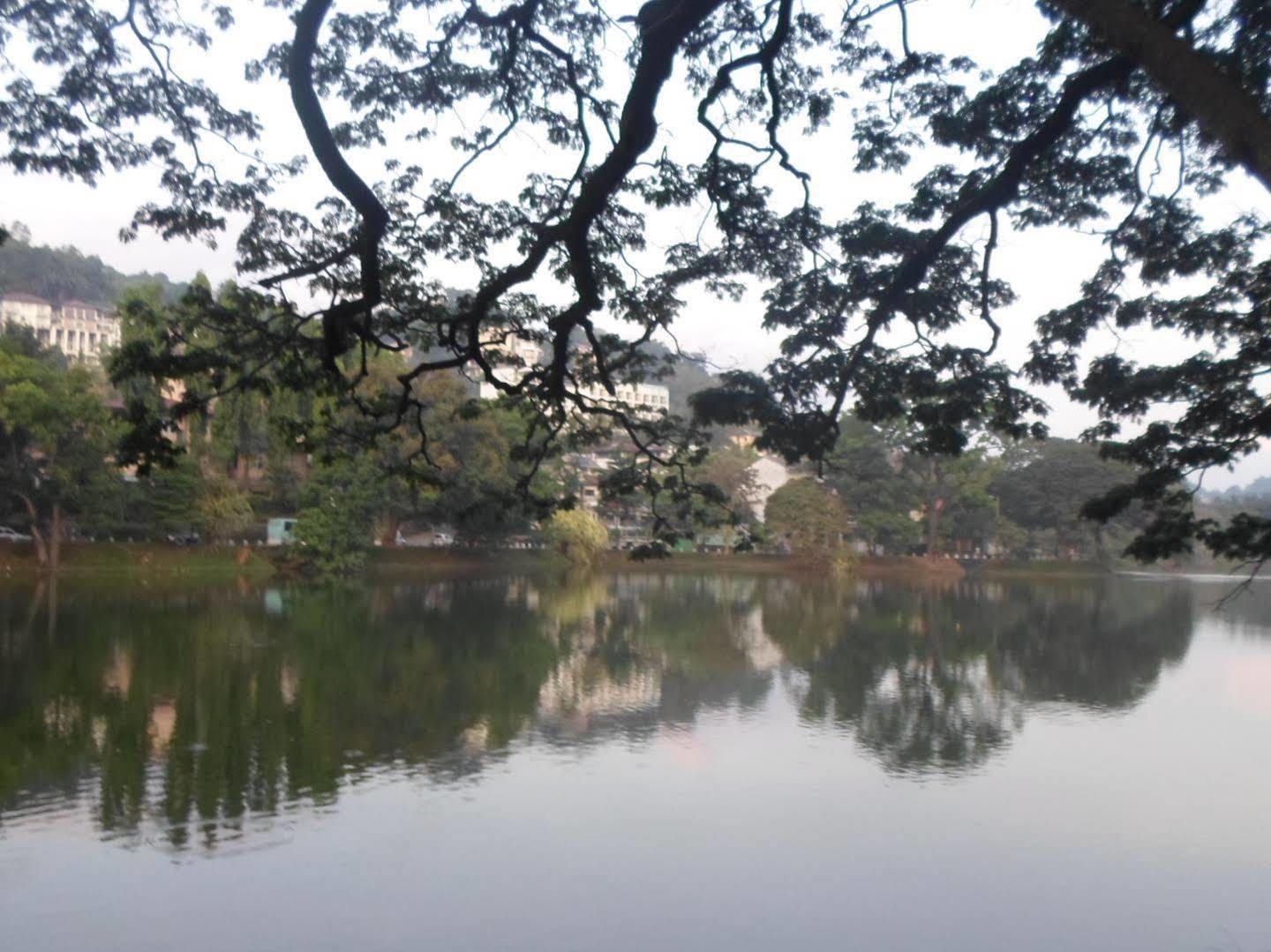 Kandy Green View Bungalow Εξωτερικό φωτογραφία